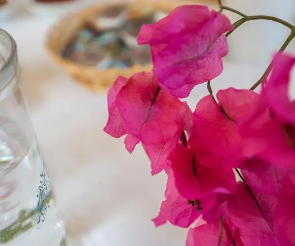 Stratis Chania (Crete)